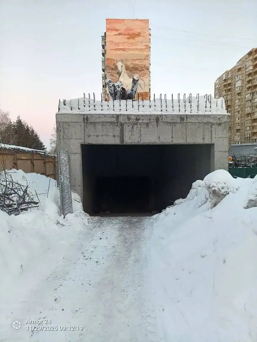 11 2025 г.