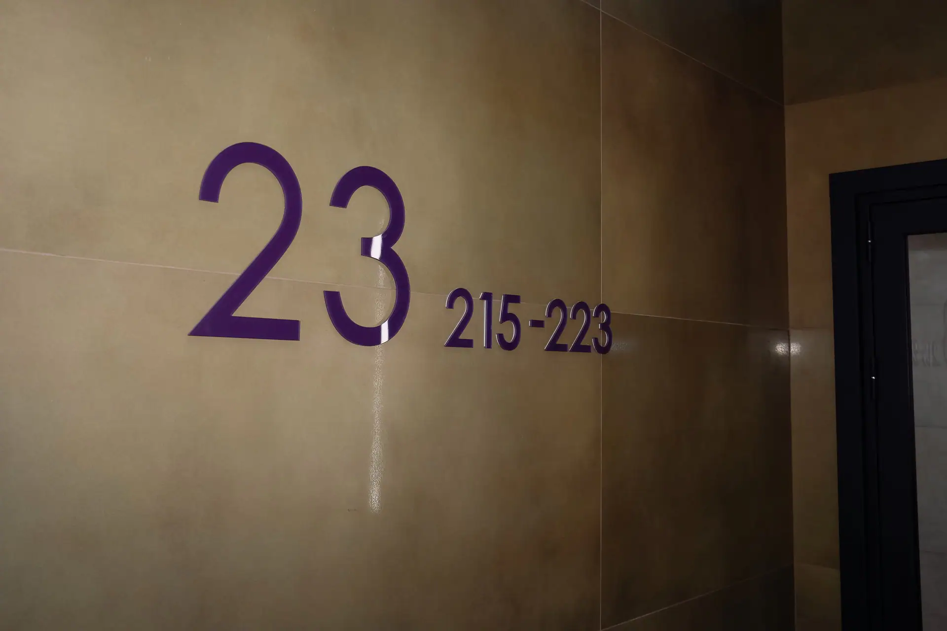 12 2025 г.
