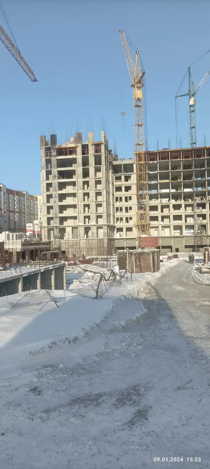 январь, 2024