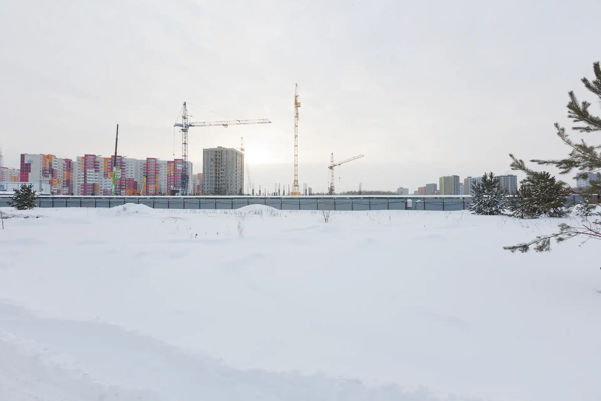 январь, 2024