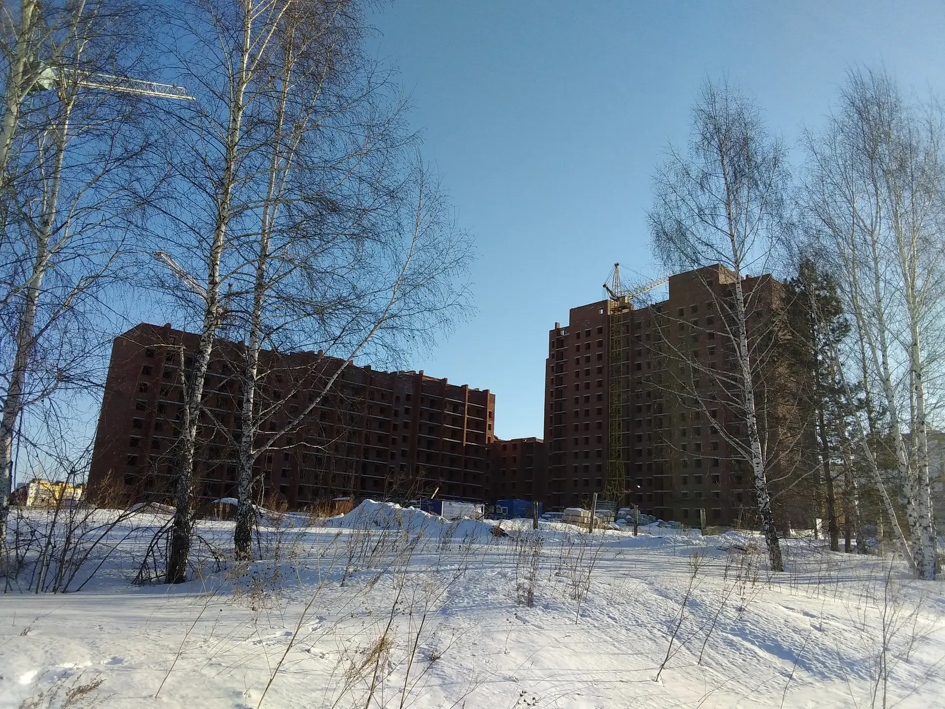 январь, 2026