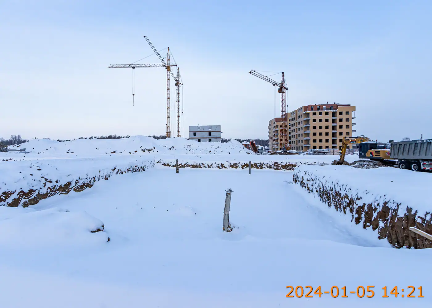 январь, 2024