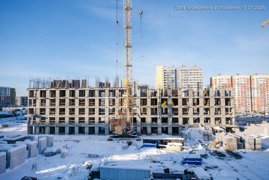 январь, 2024
