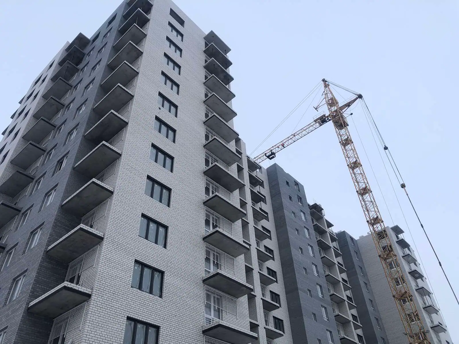 январь, 2024