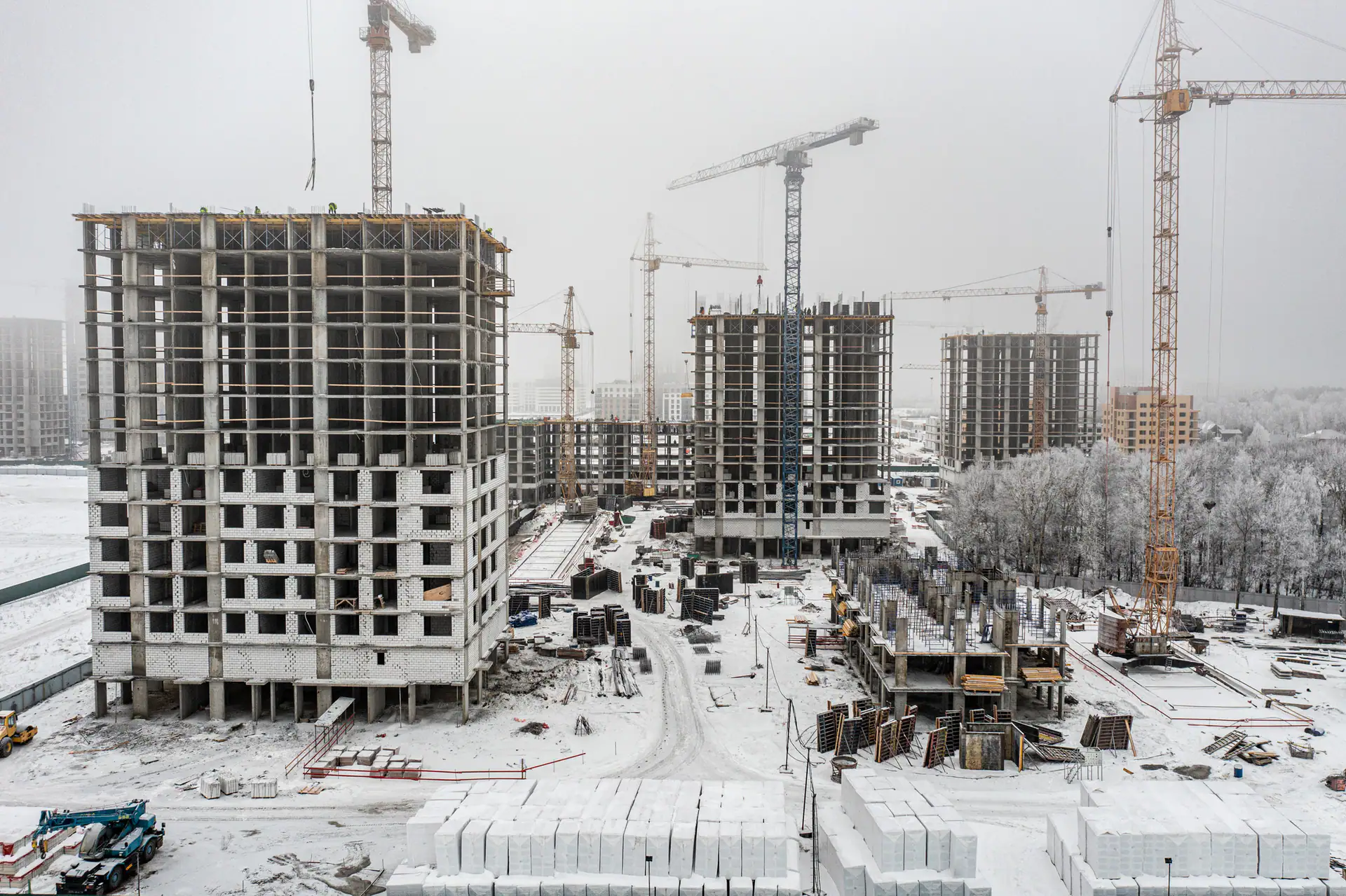 январь, 2024