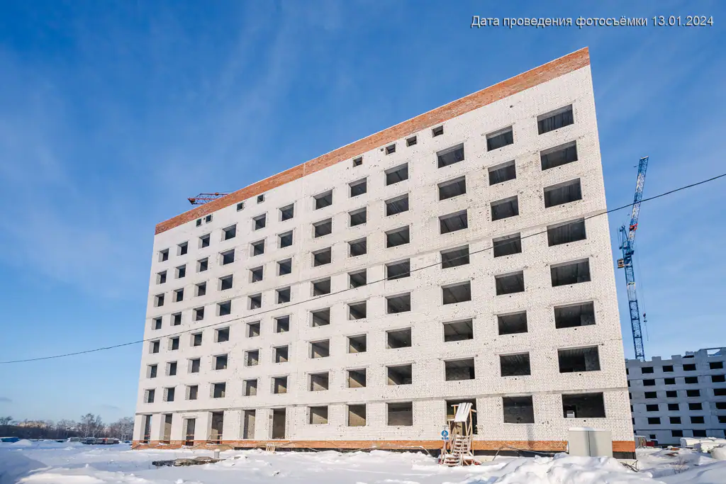 январь, 2024