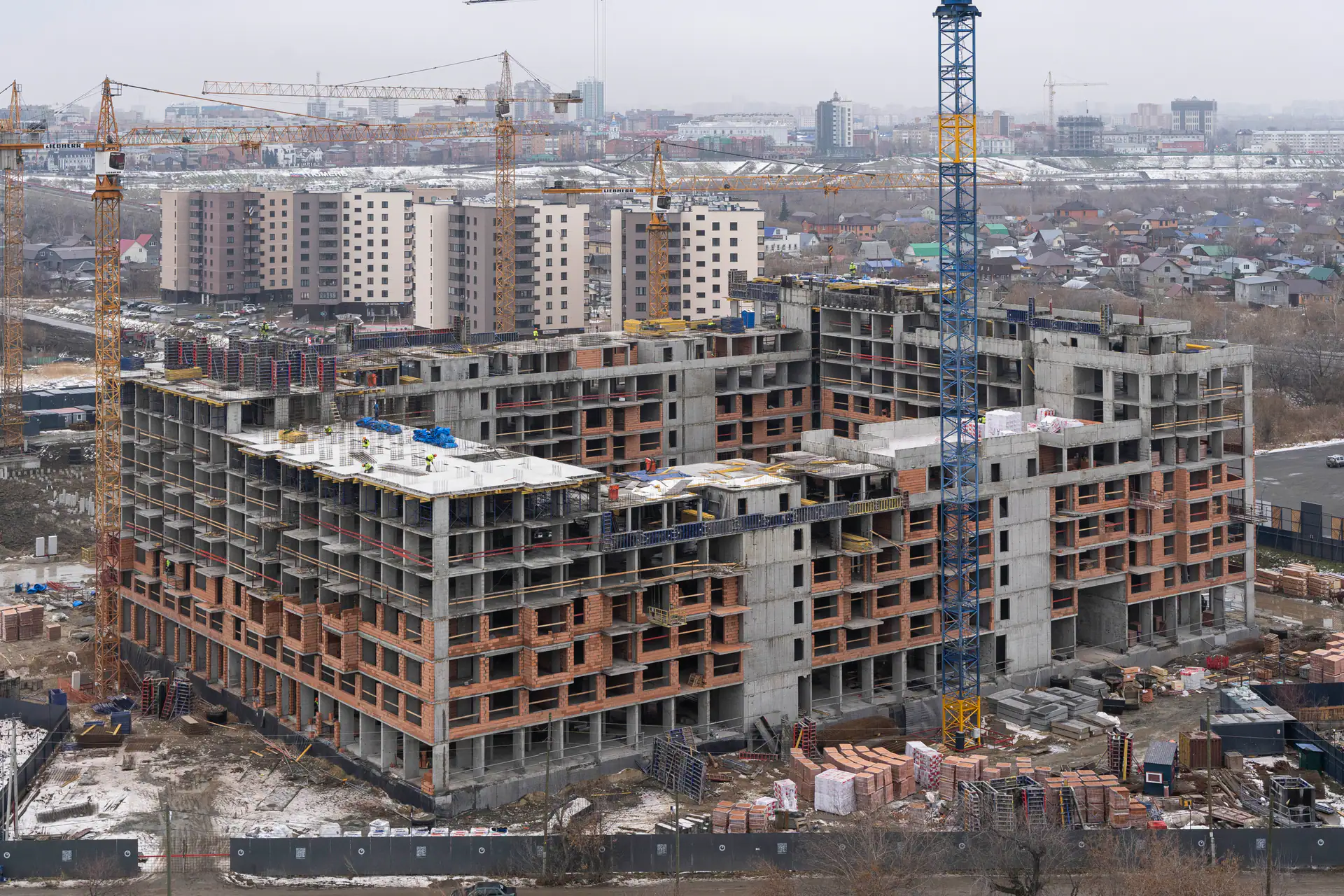 ноябрь, 2024