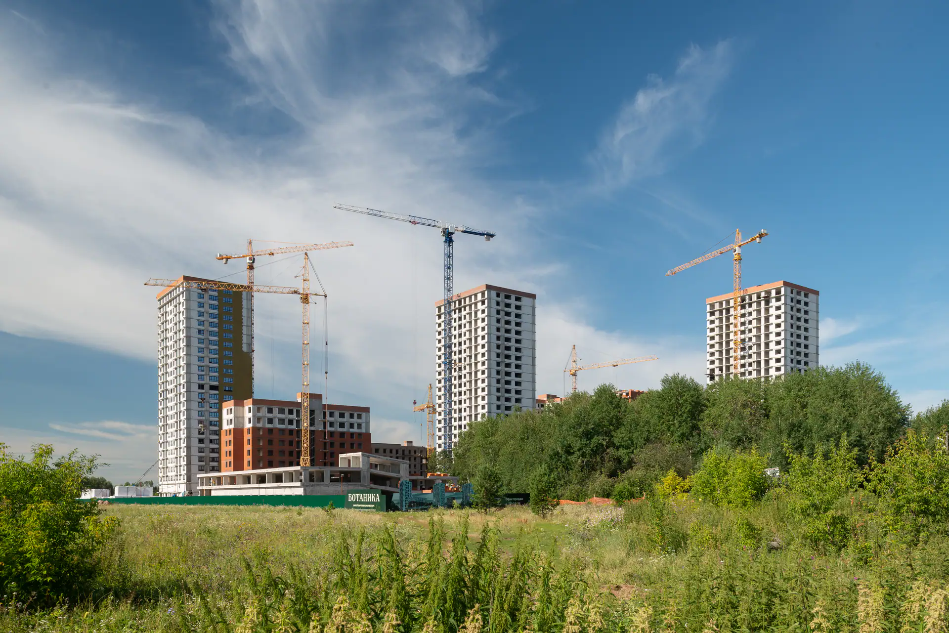 август, 2024