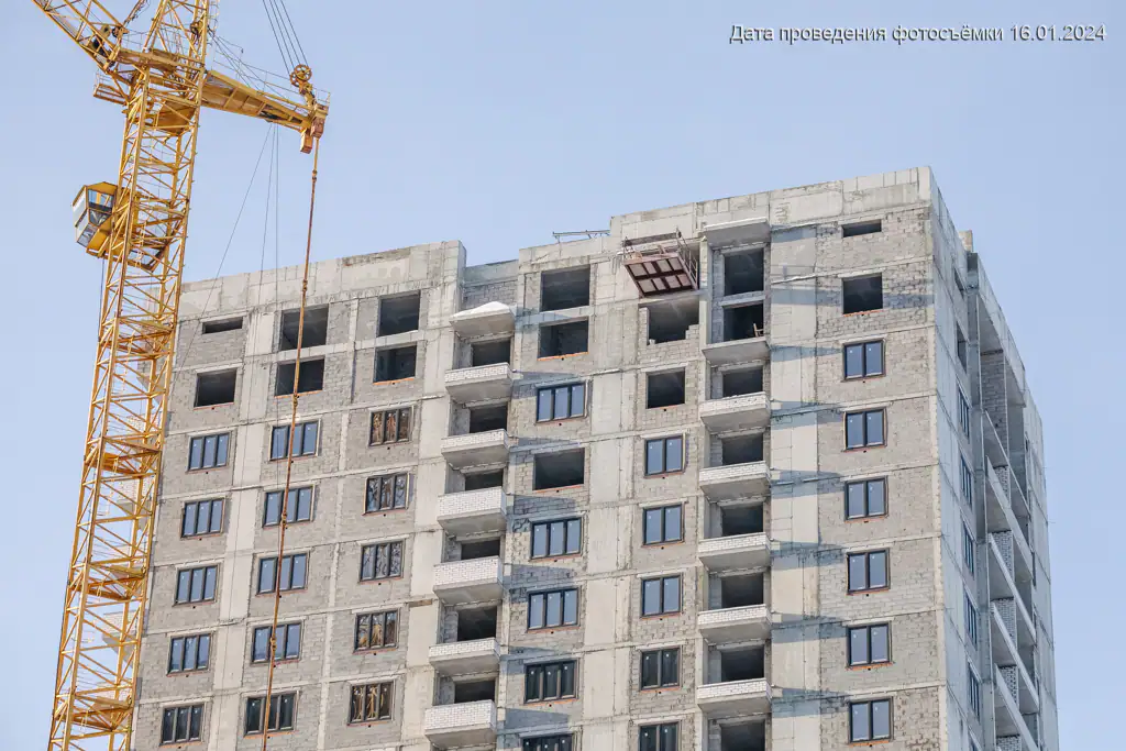 январь, 2024