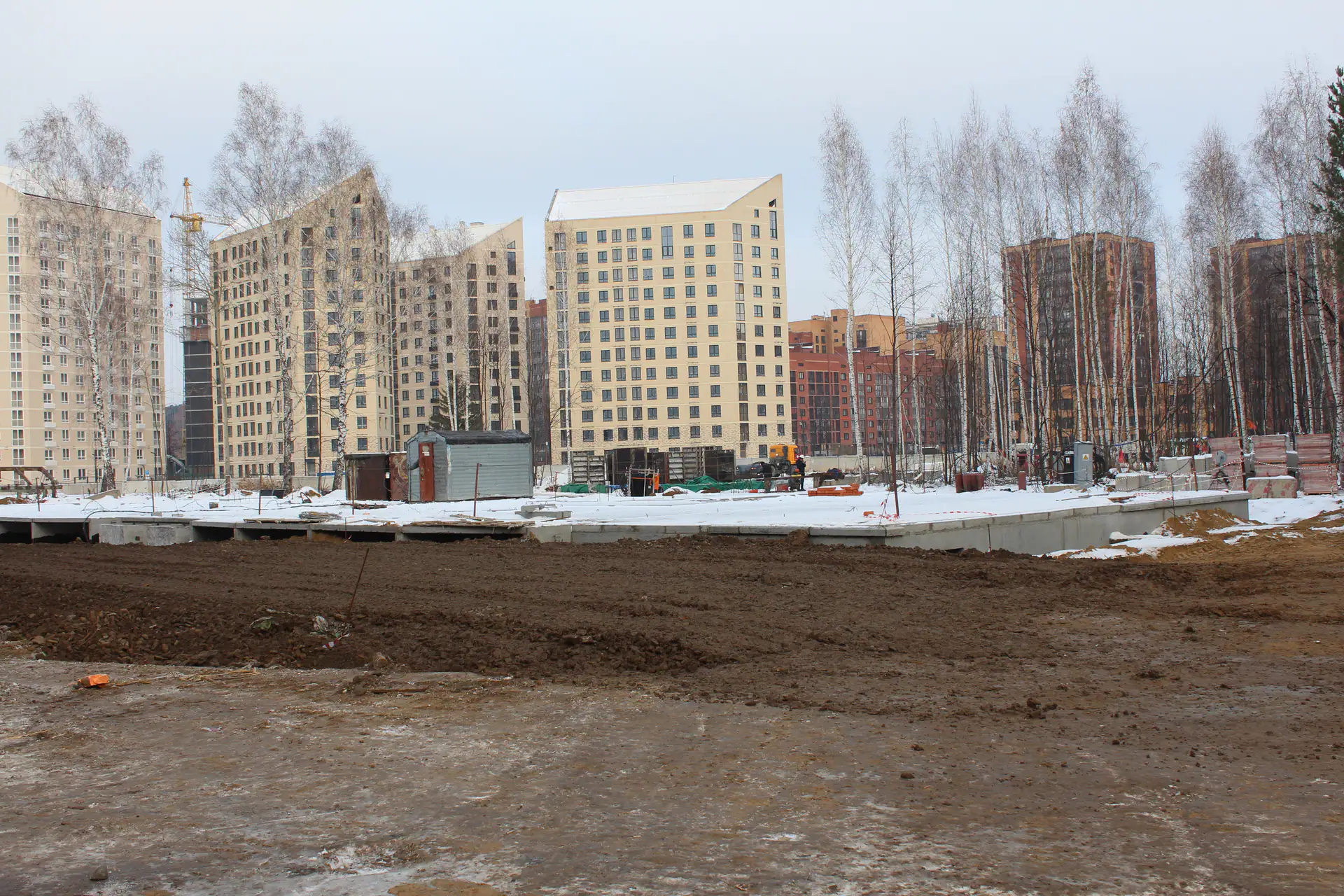 11 2023 г.
