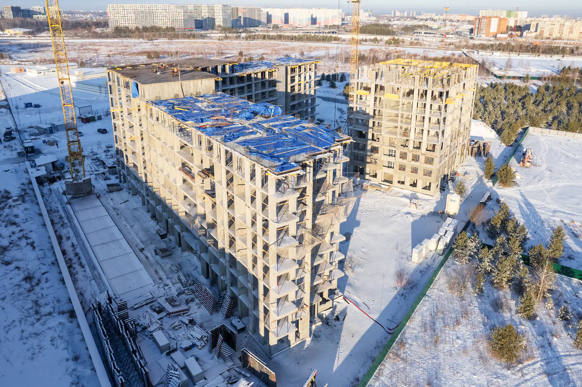 январь, 2025
