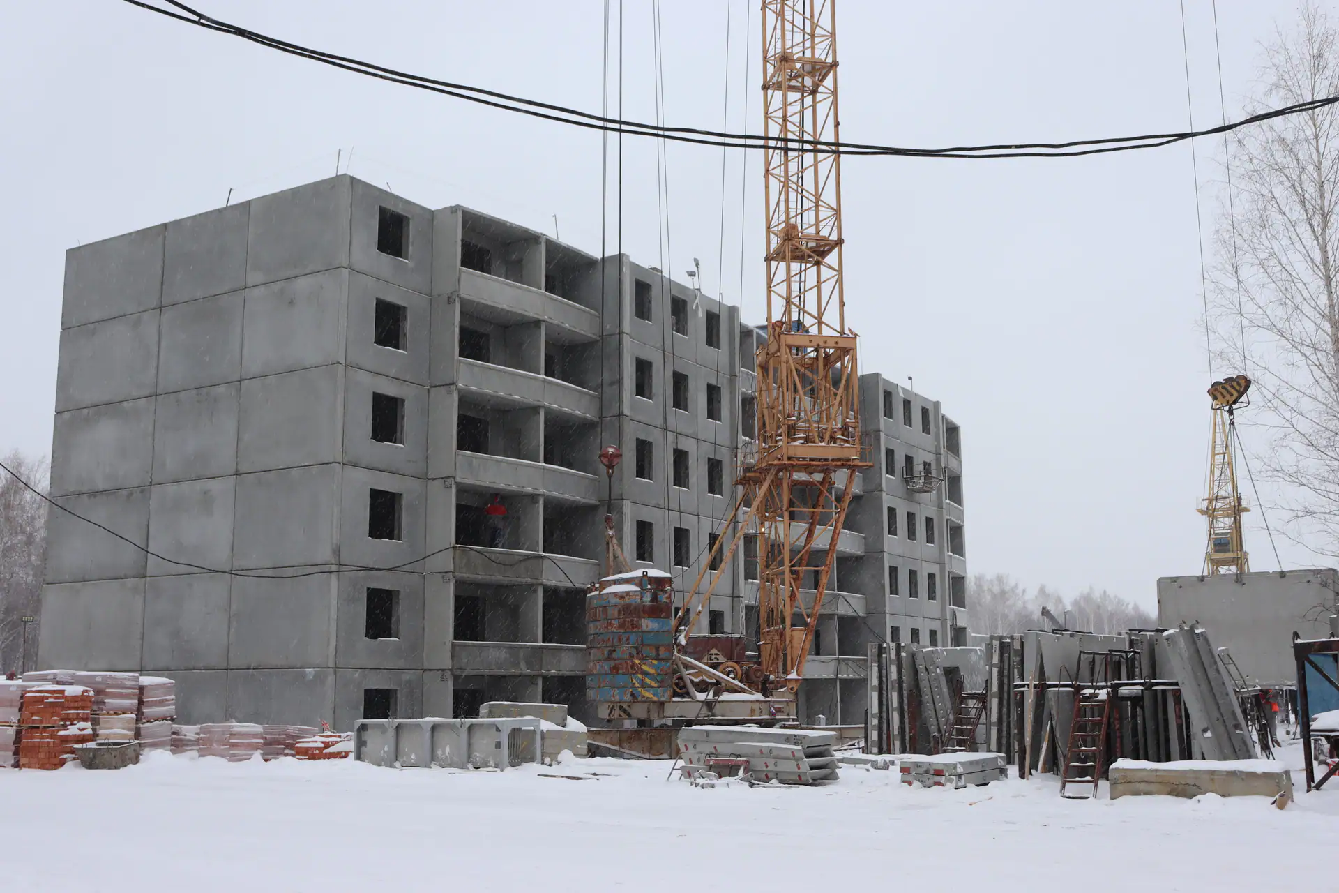январь, 2025