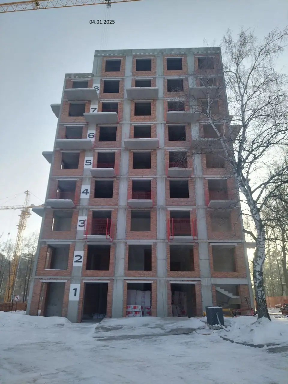 январь, 2025