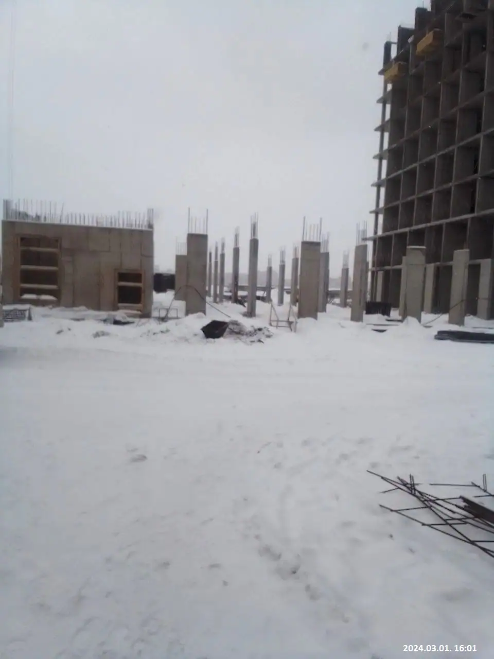 03 2024 г.