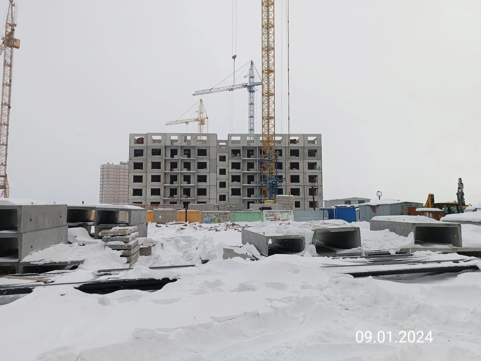 январь, 2024