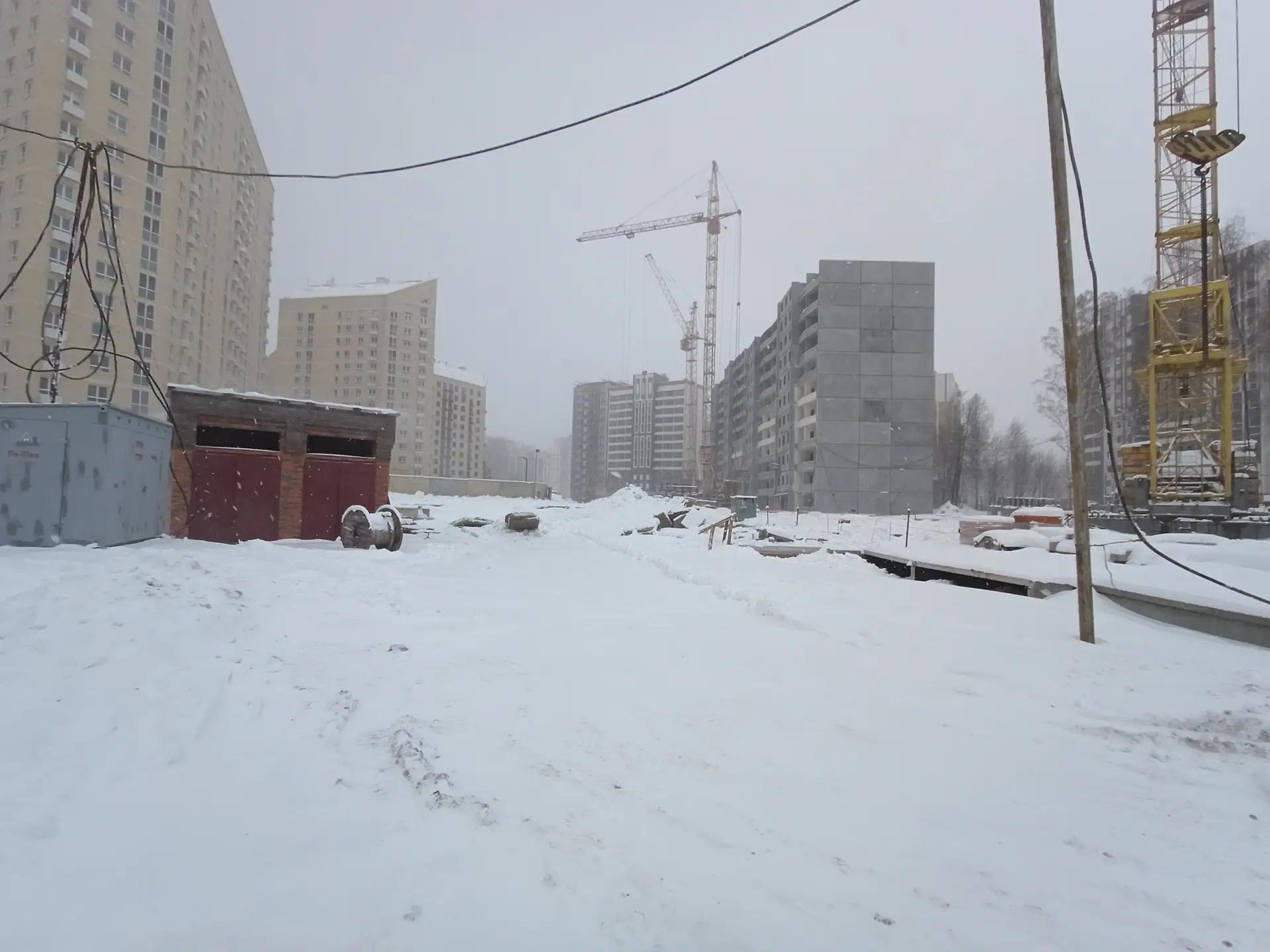 11 2025 г.