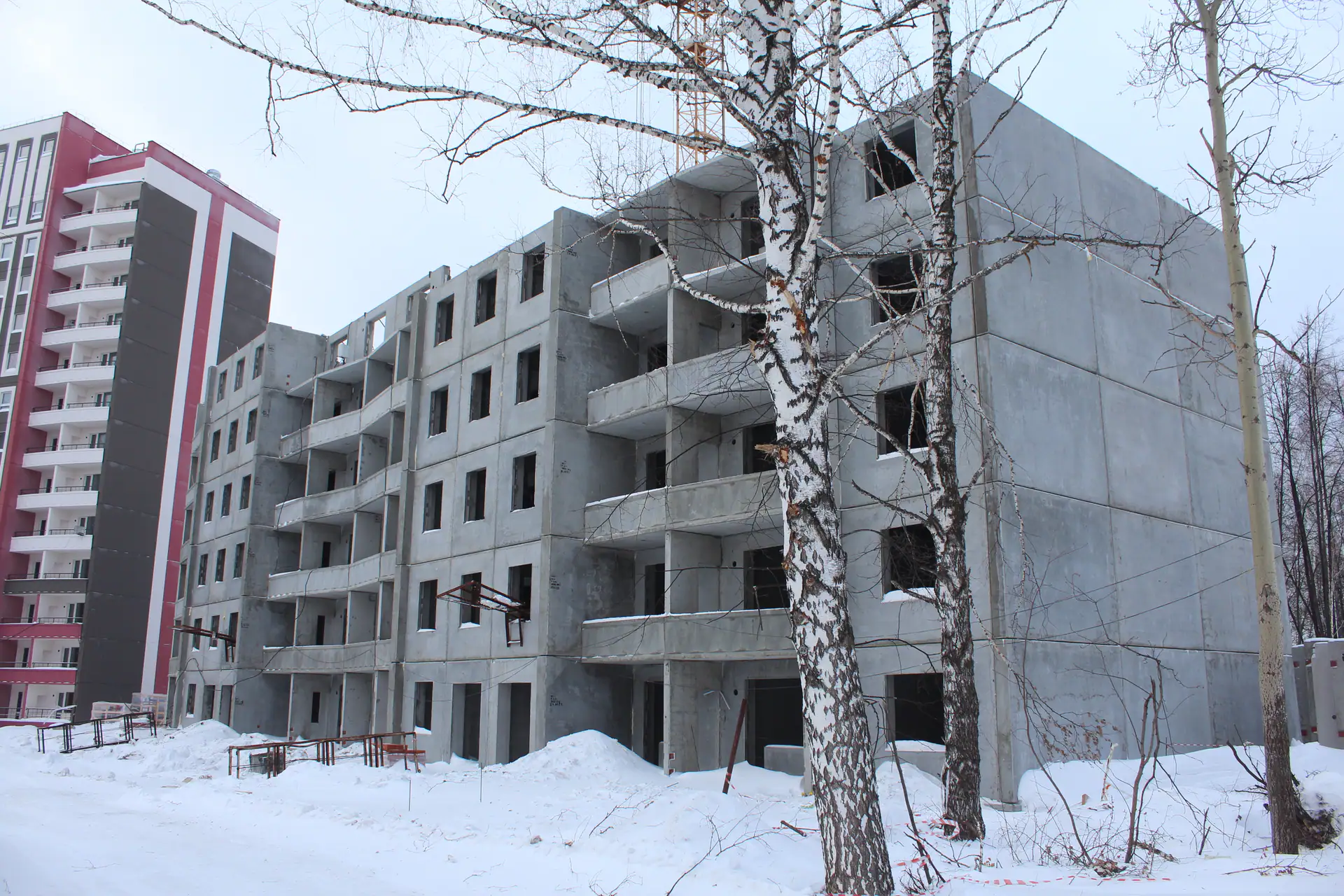 январь, 2024