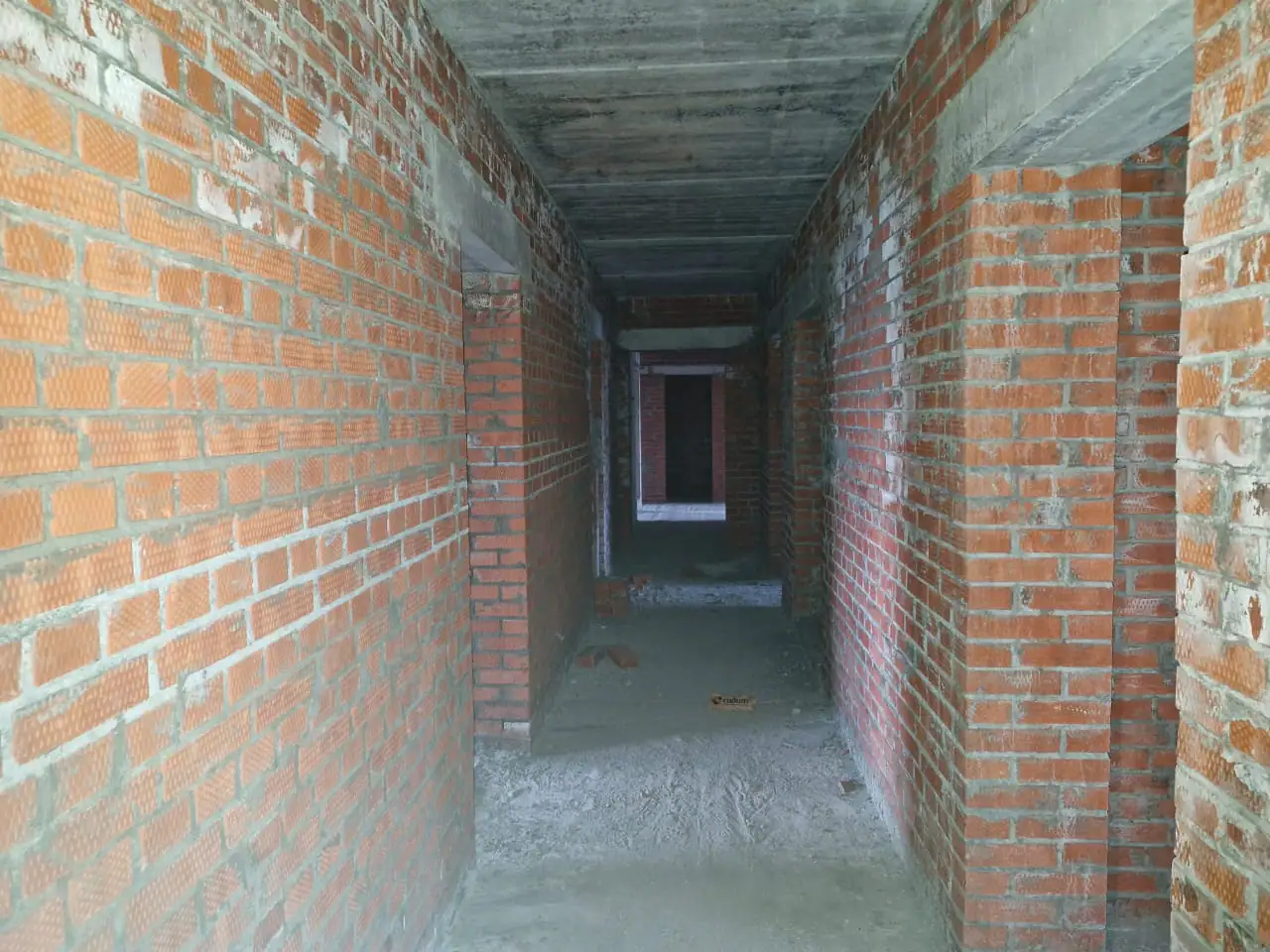 12 2024 г.