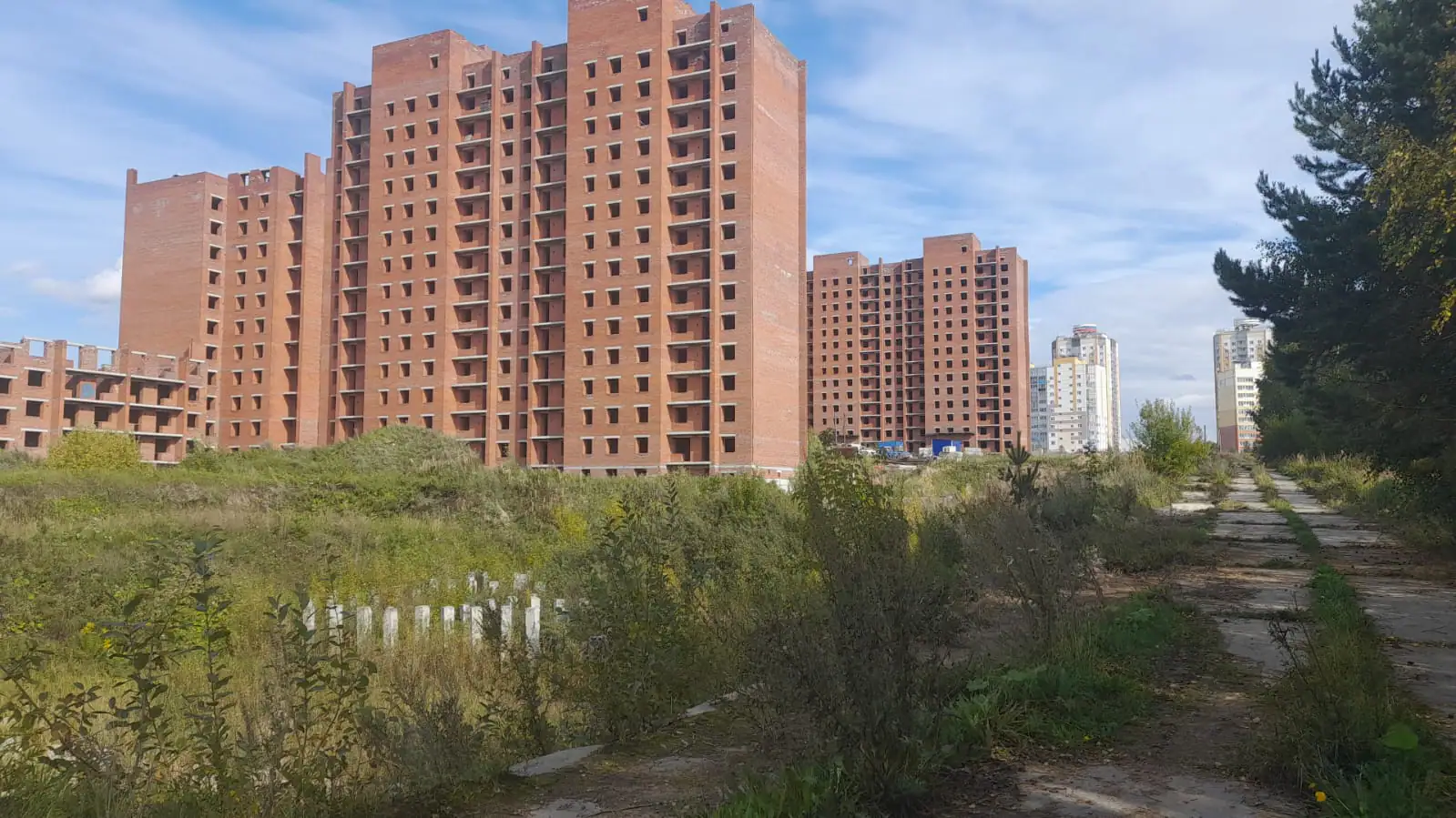 сентябрь, 2025