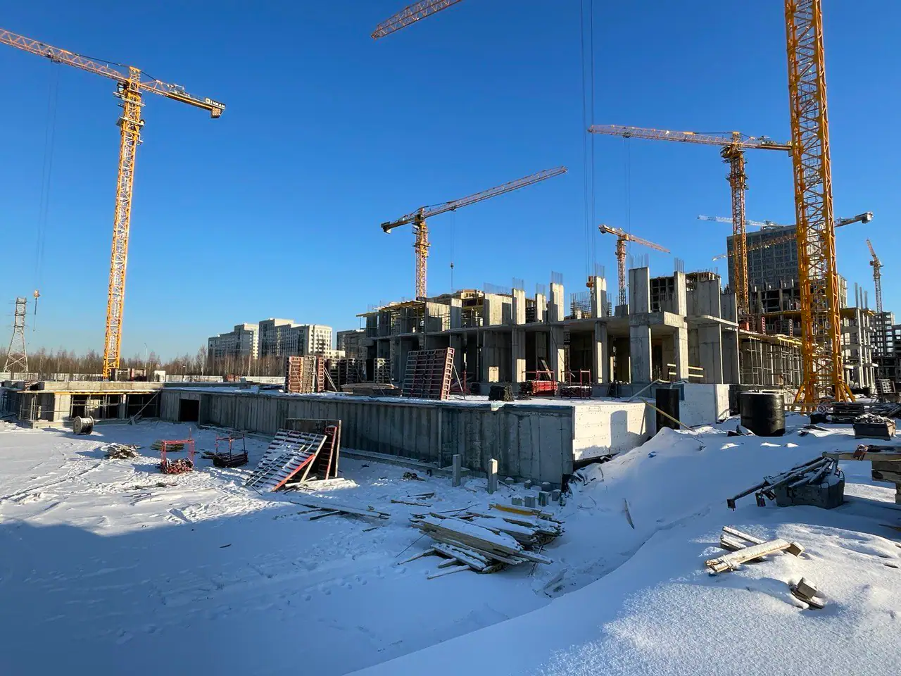 январь, 2025