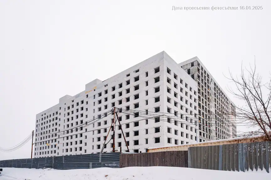 январь, 2025