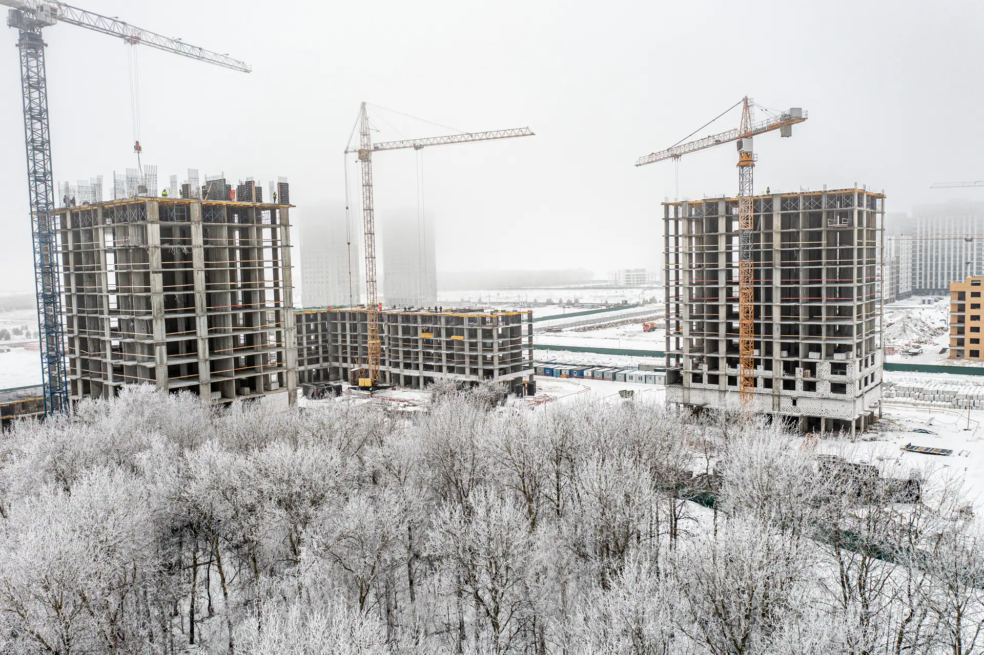 январь, 2024