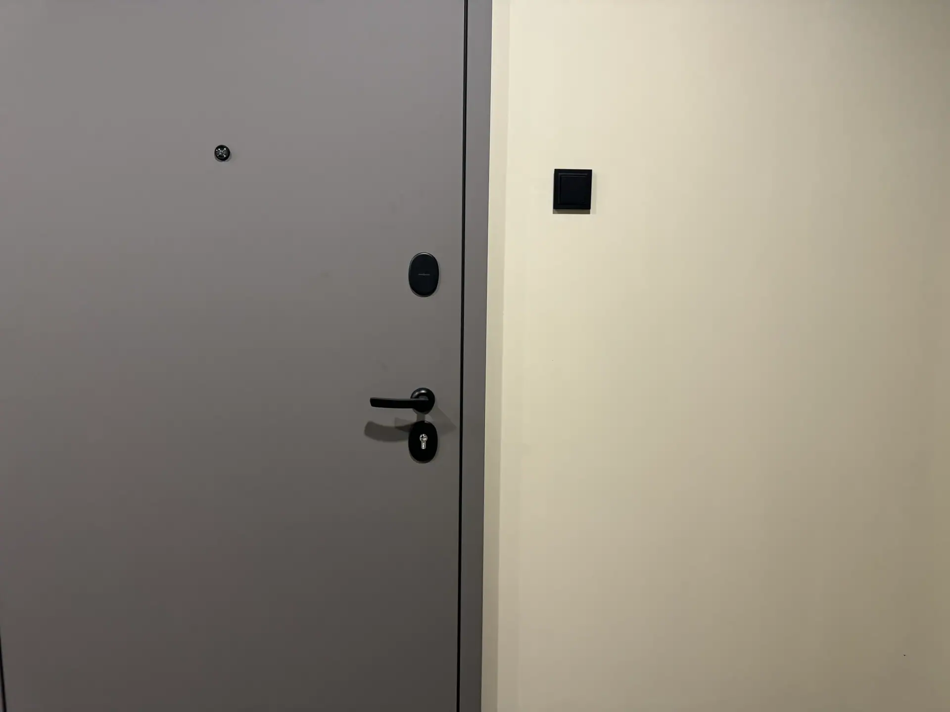 12 2024 г.