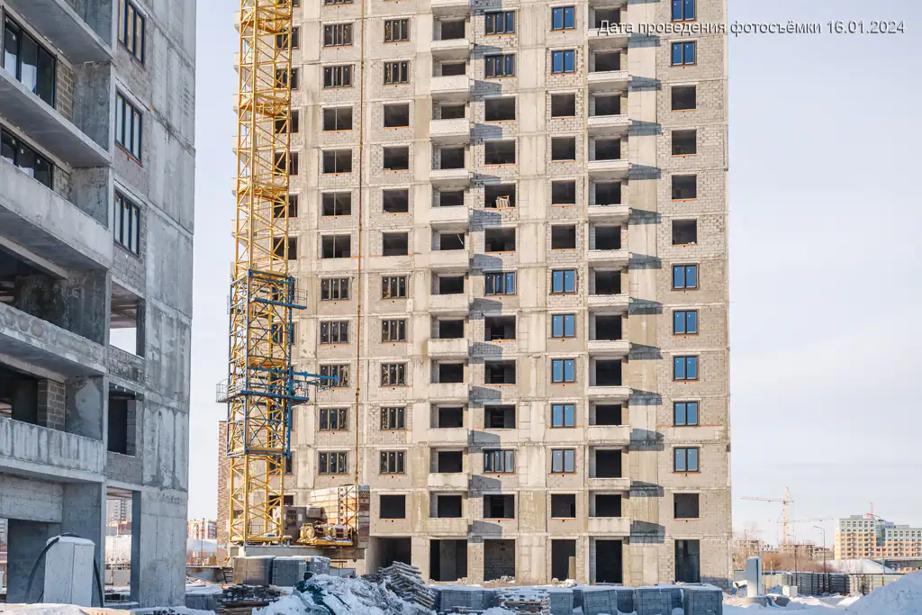 январь, 2024