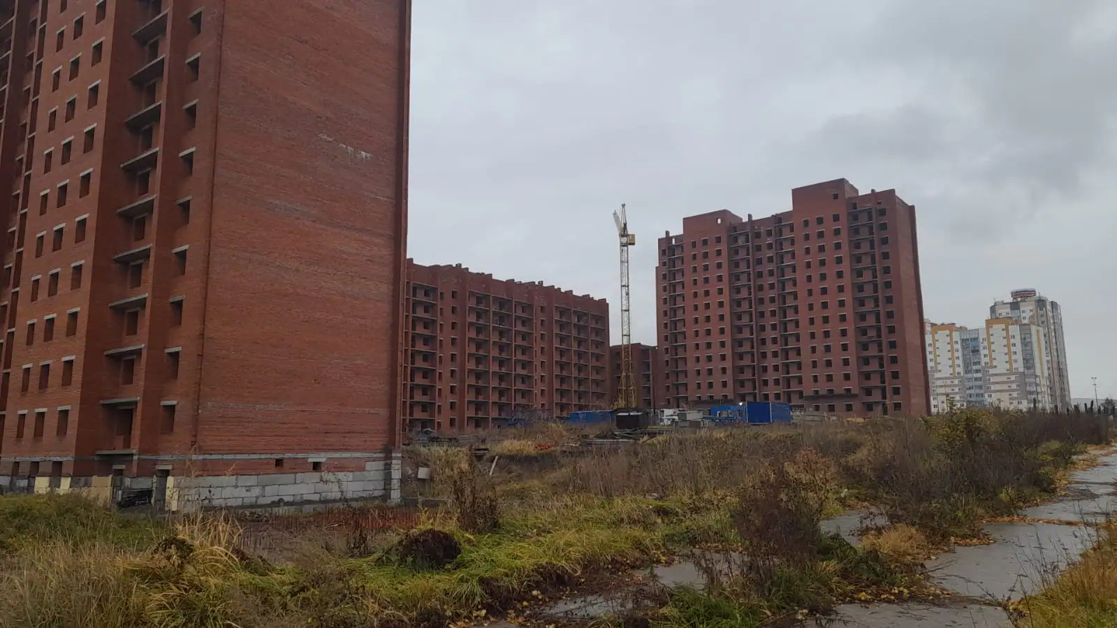 октябрь, 2024