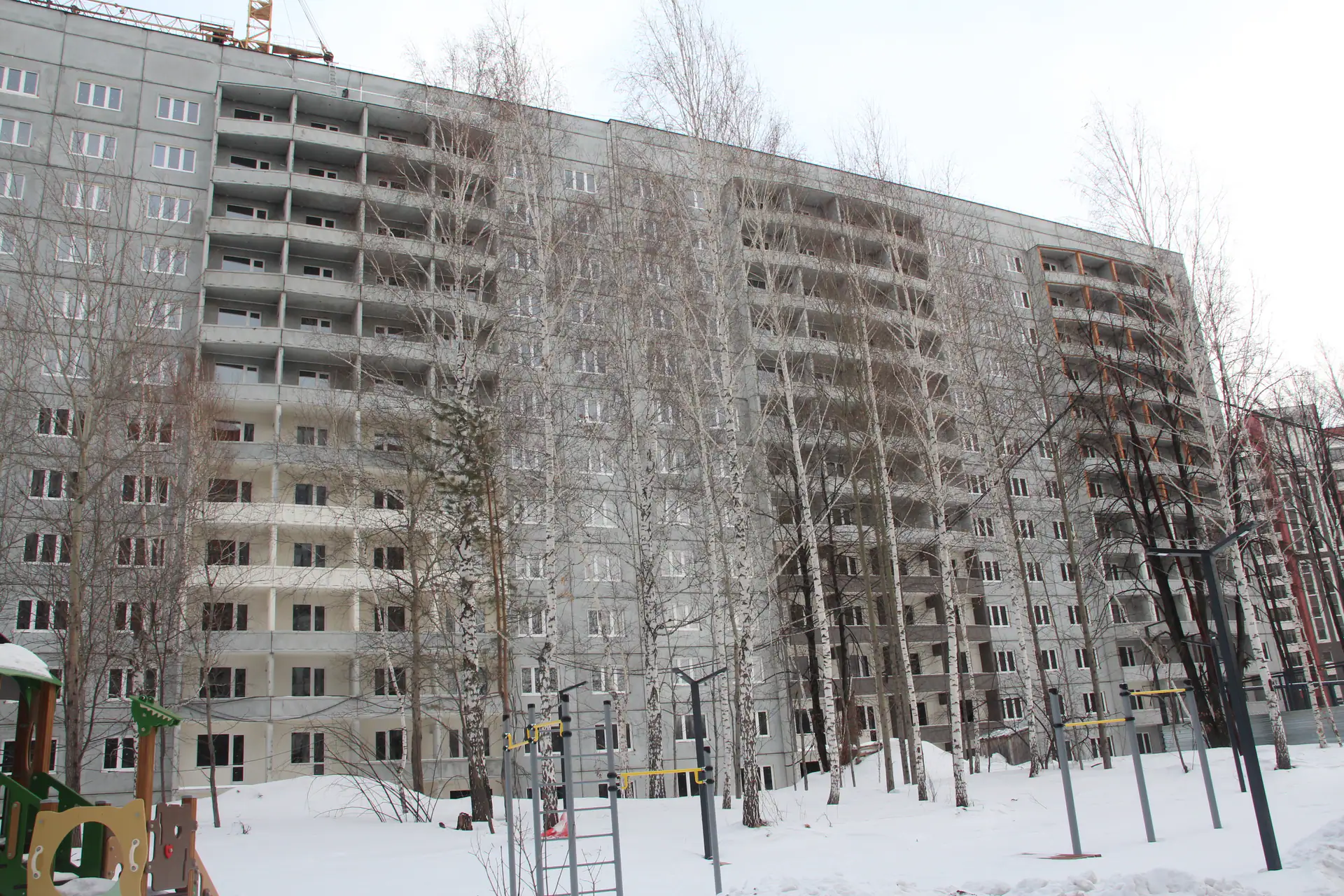 февраль, 2026