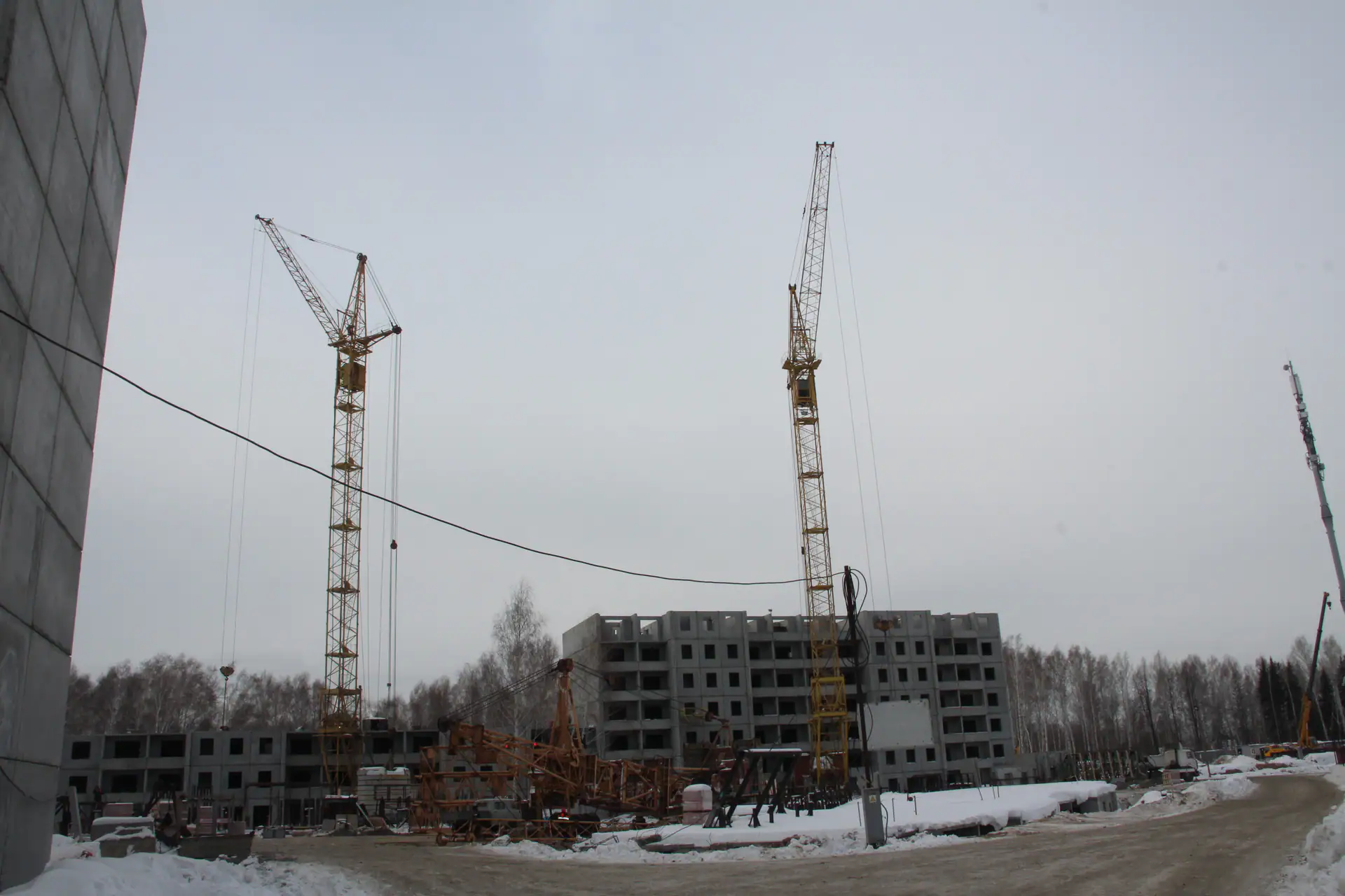 февраль, 2026