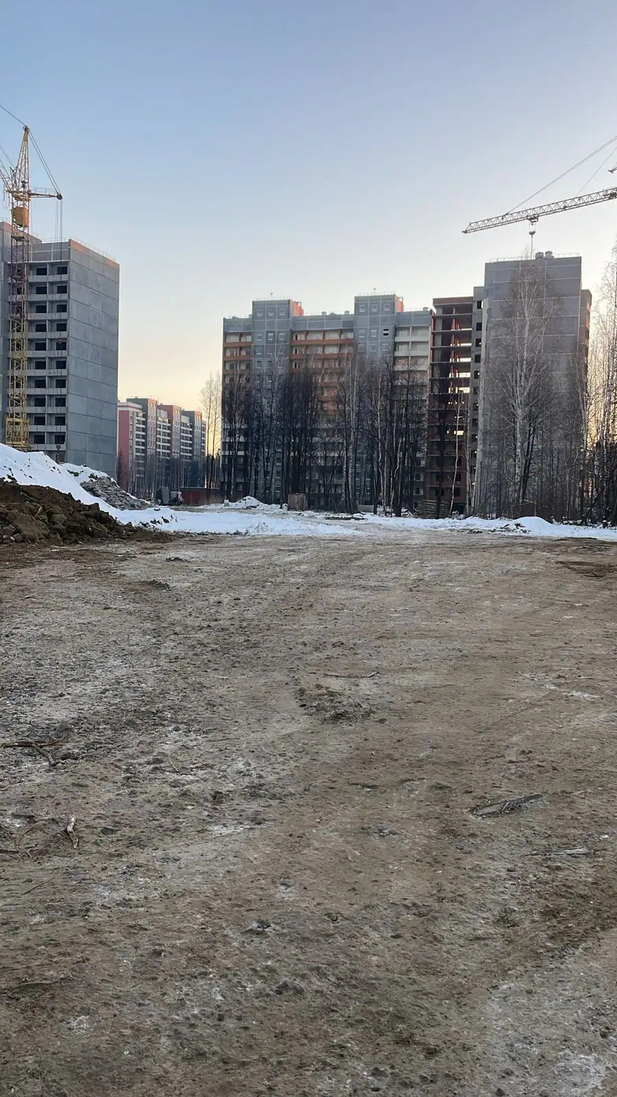 январь, 2025