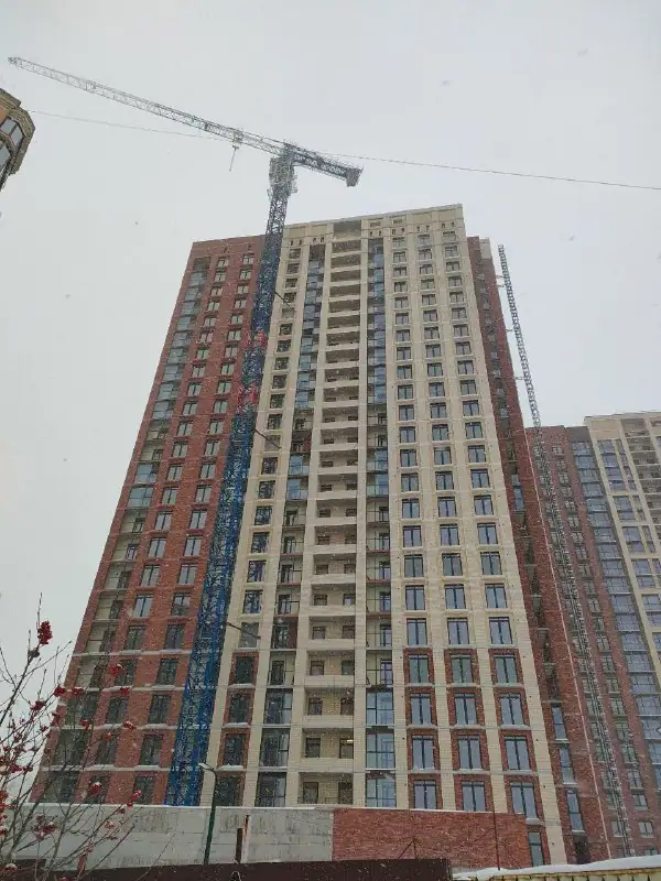 12 2025 г.