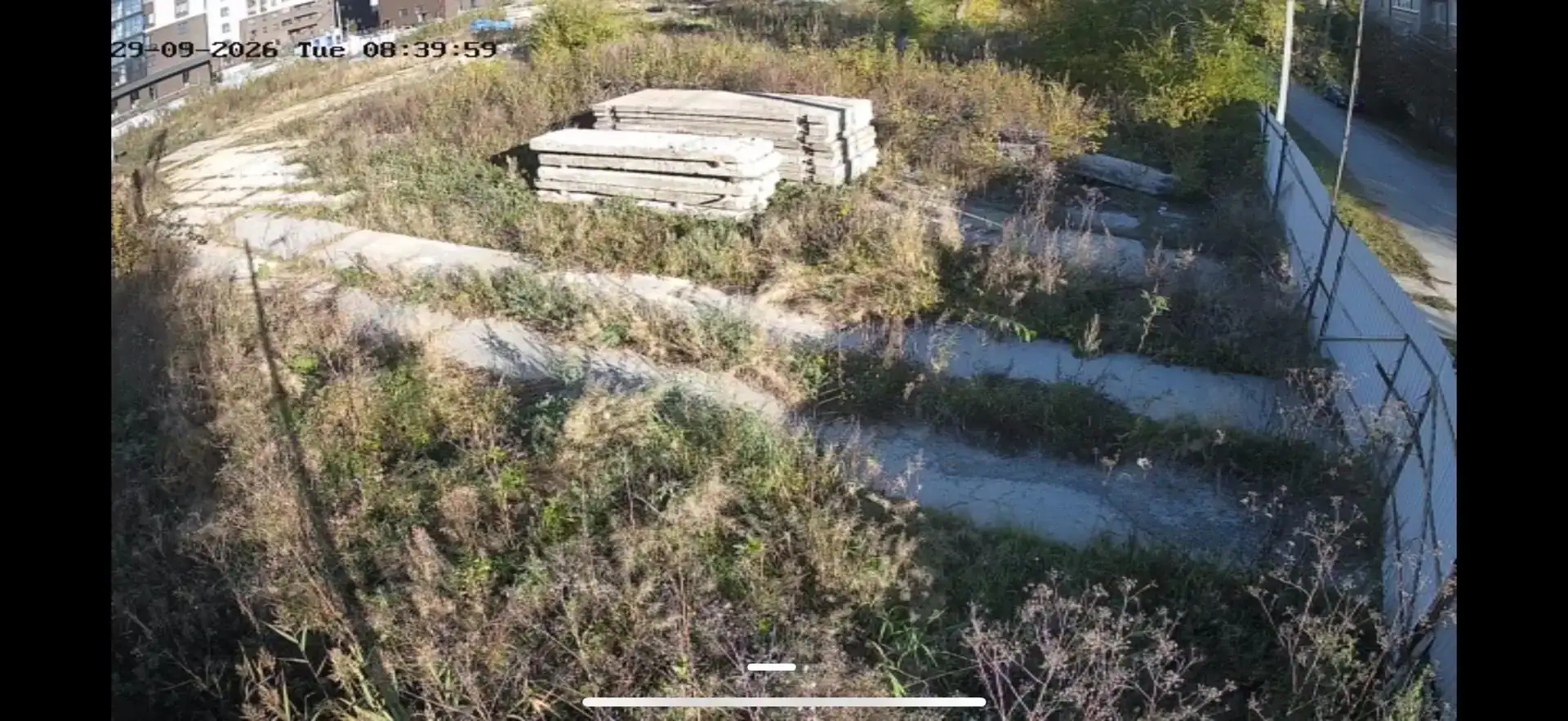 сентябрь, 2026