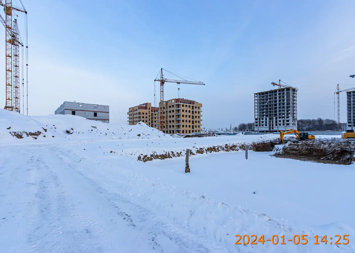 январь, 2024