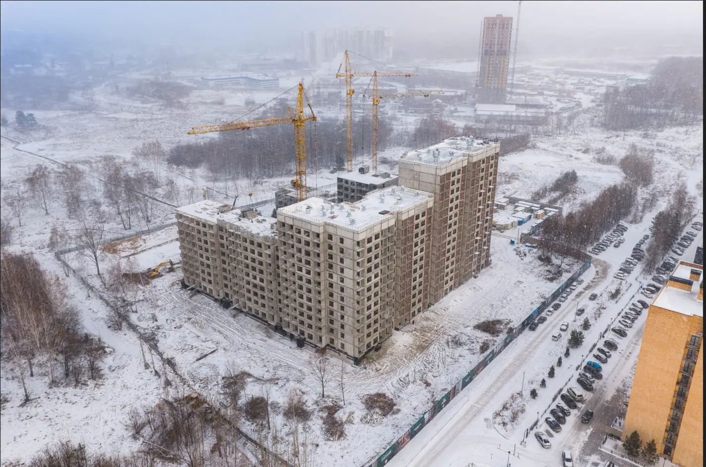 11 2025 г.