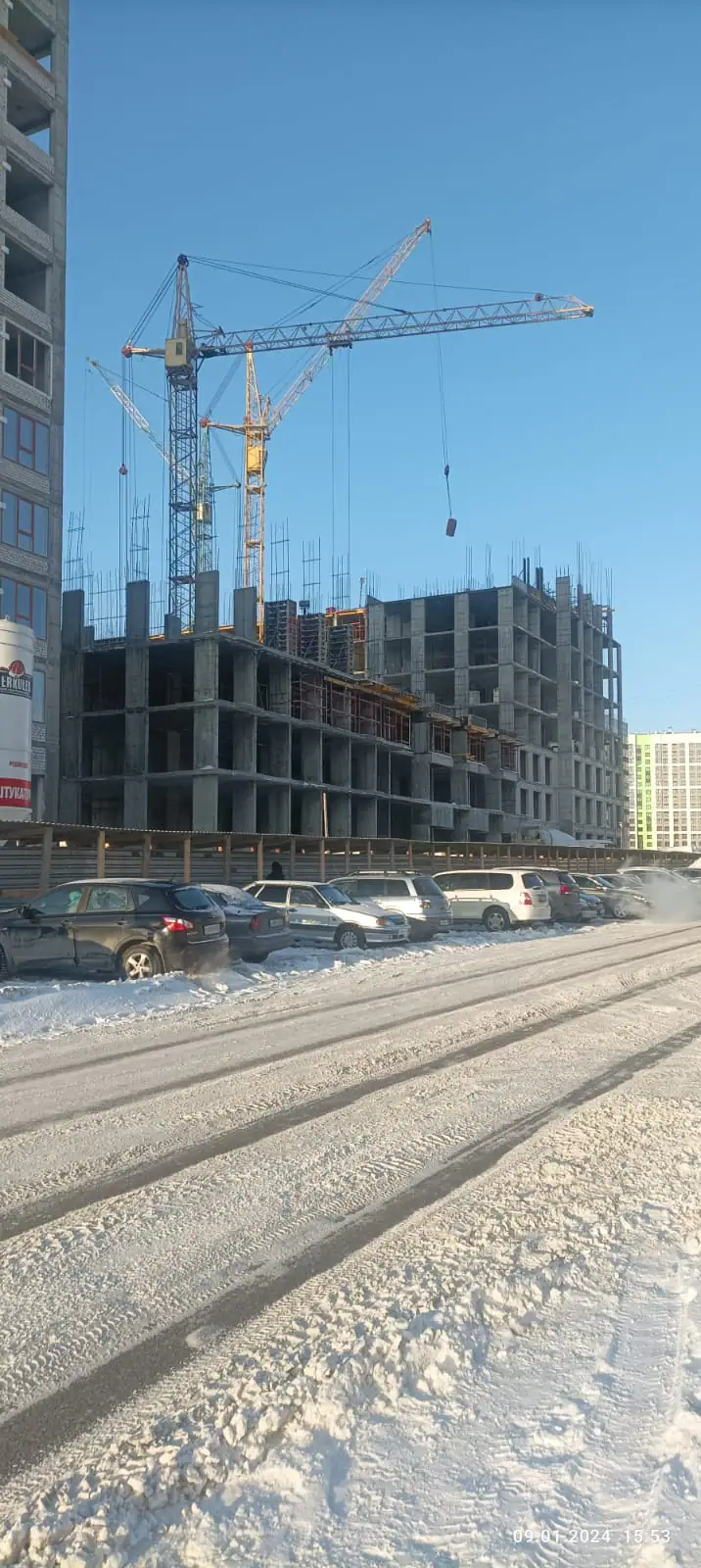 январь, 2024