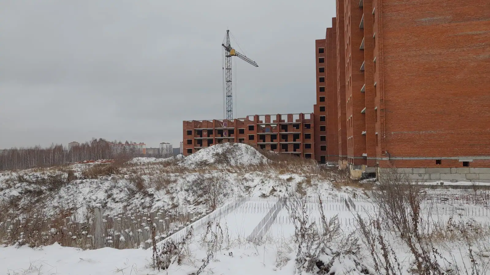 ноябрь, 2023