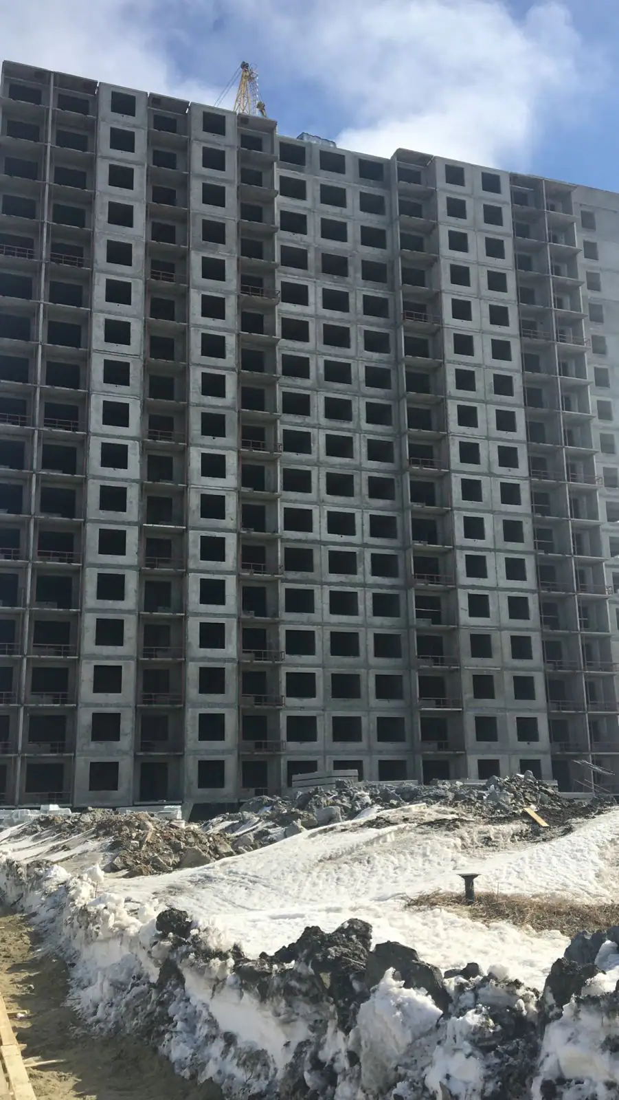03 2023 г.