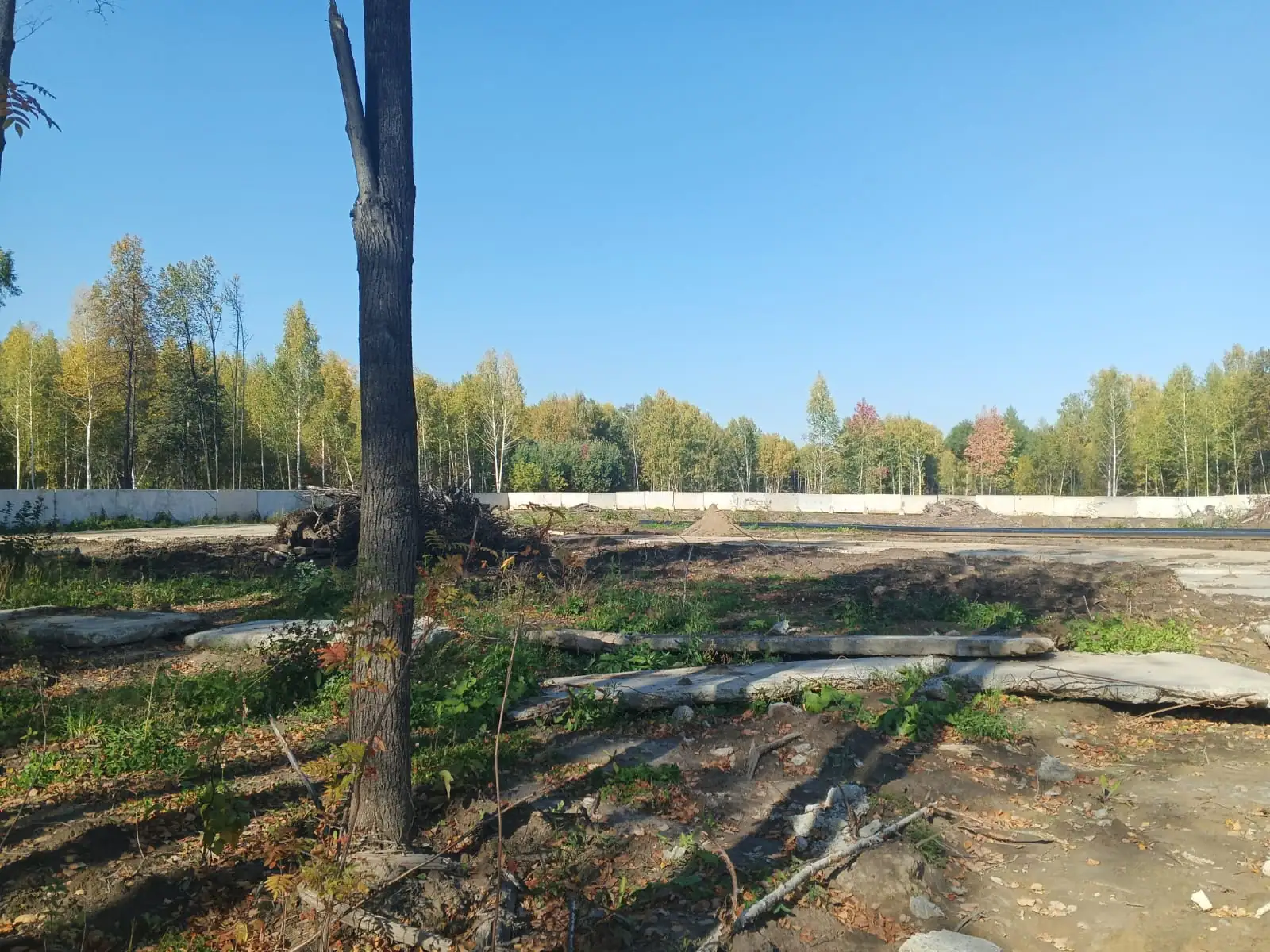 10 2023 г.