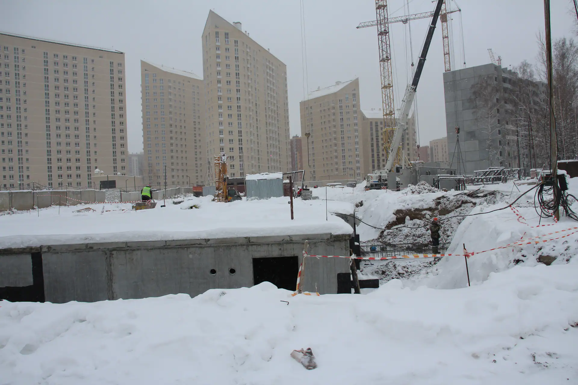 11 2025 г.