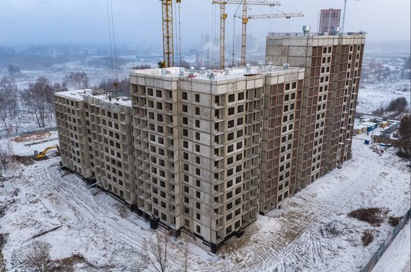 11 2025 г.
