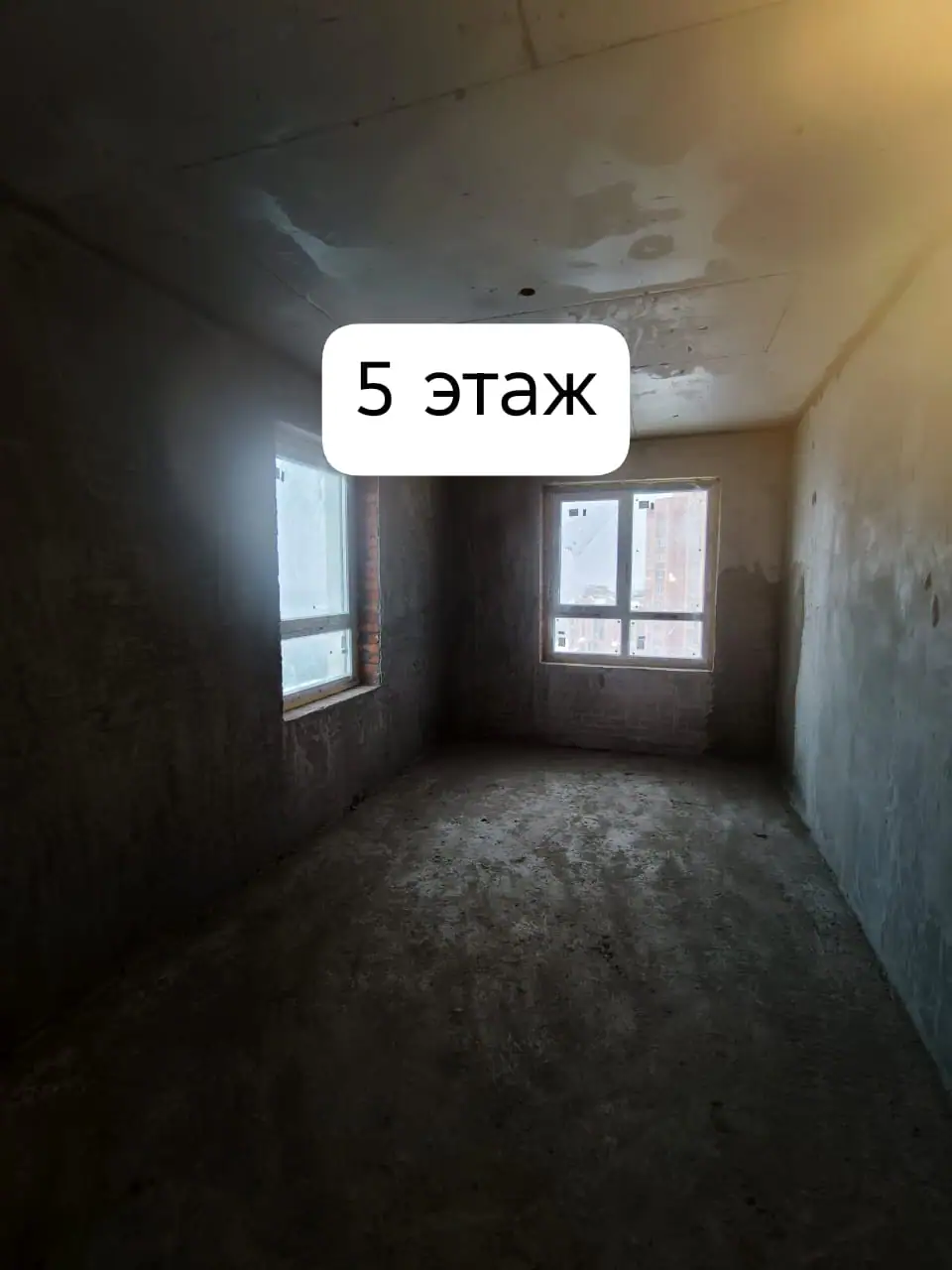 ноябрь, 2025