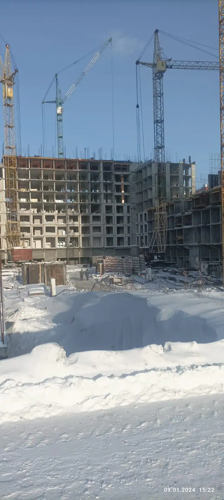 январь, 2024