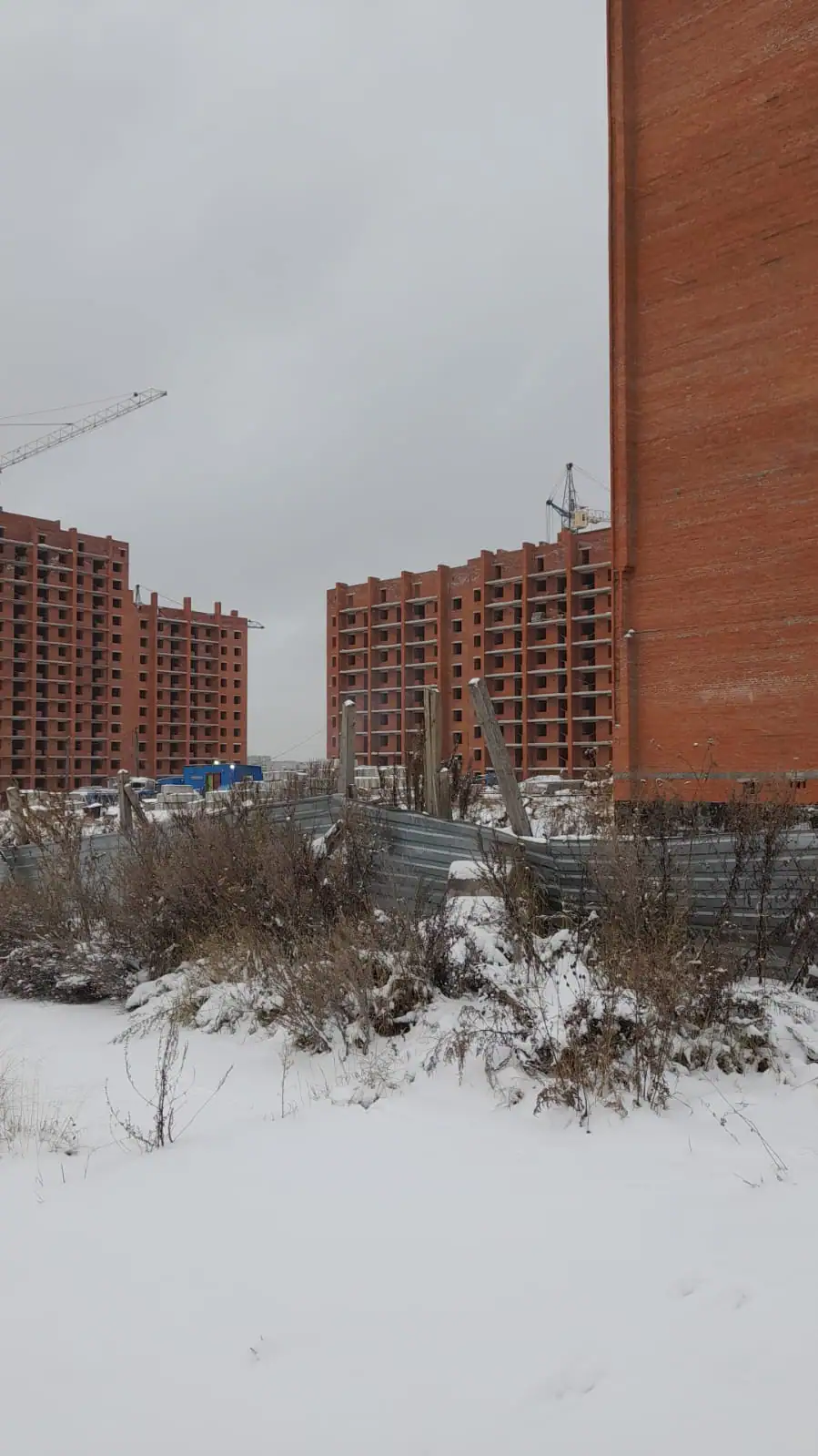 ноябрь, 2024