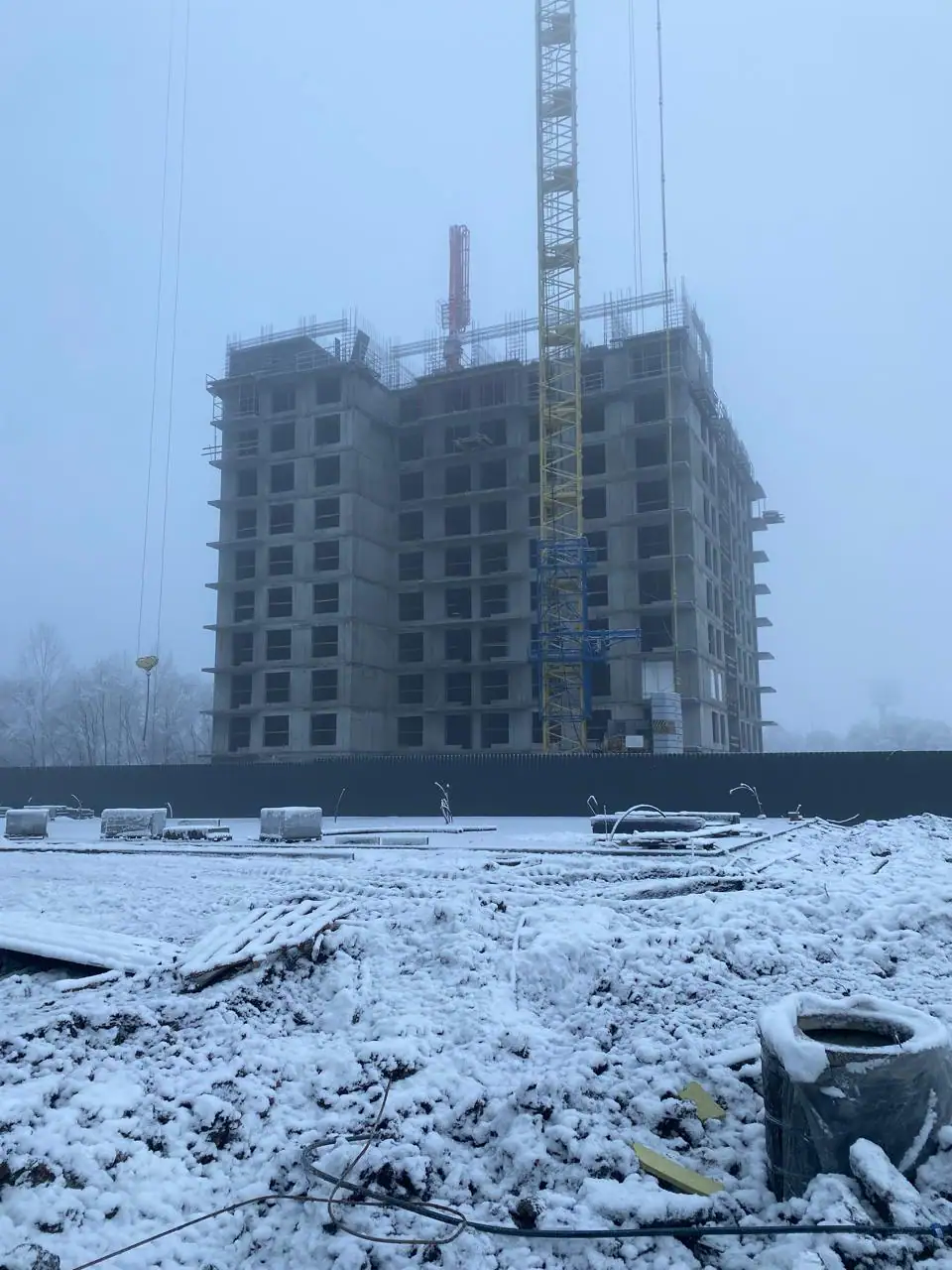 ноябрь, 2024