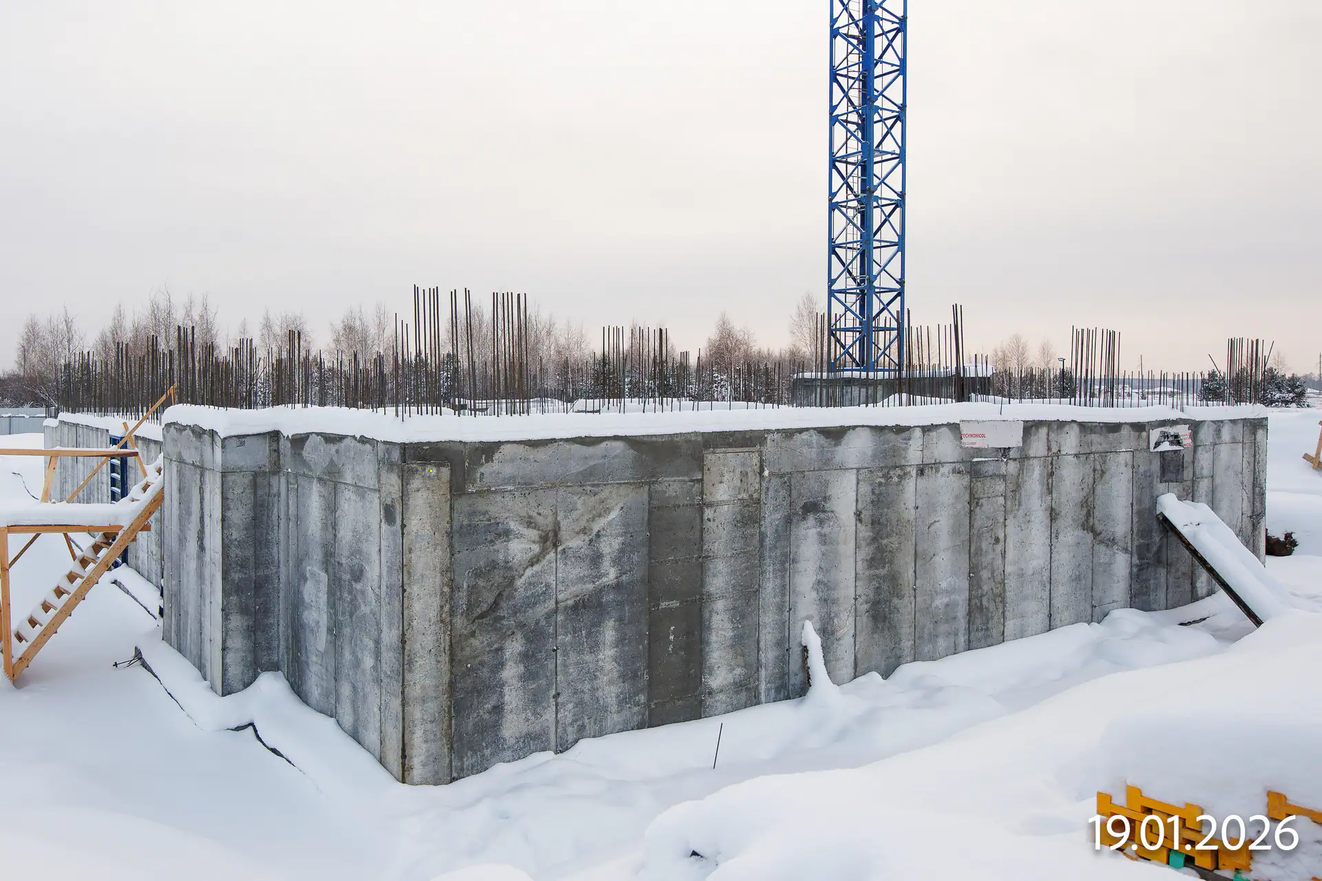 январь, 2026