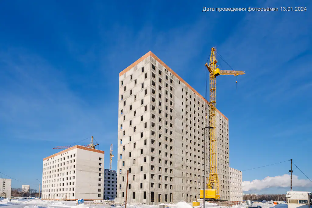 январь, 2024