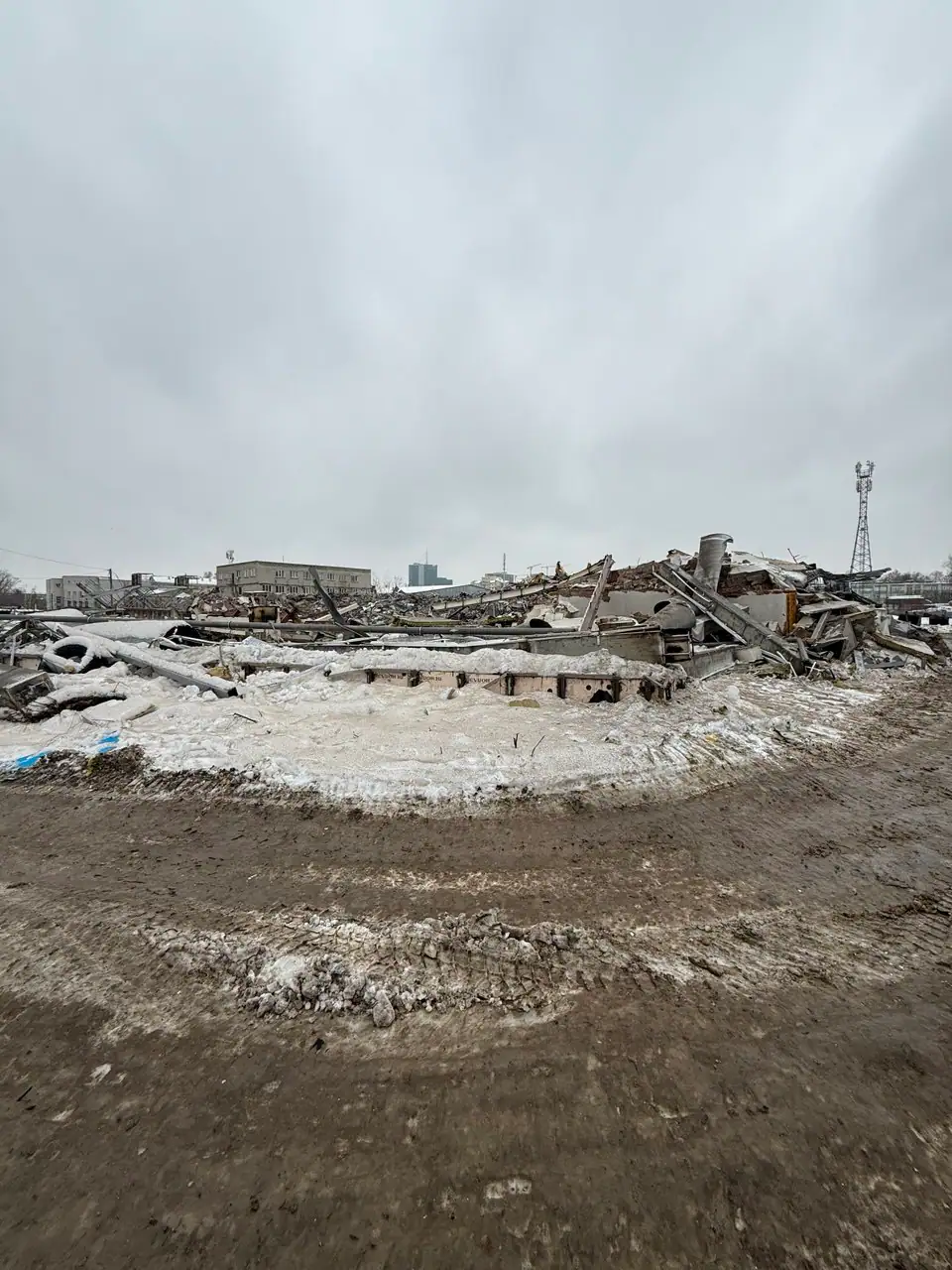 11 2025 г.