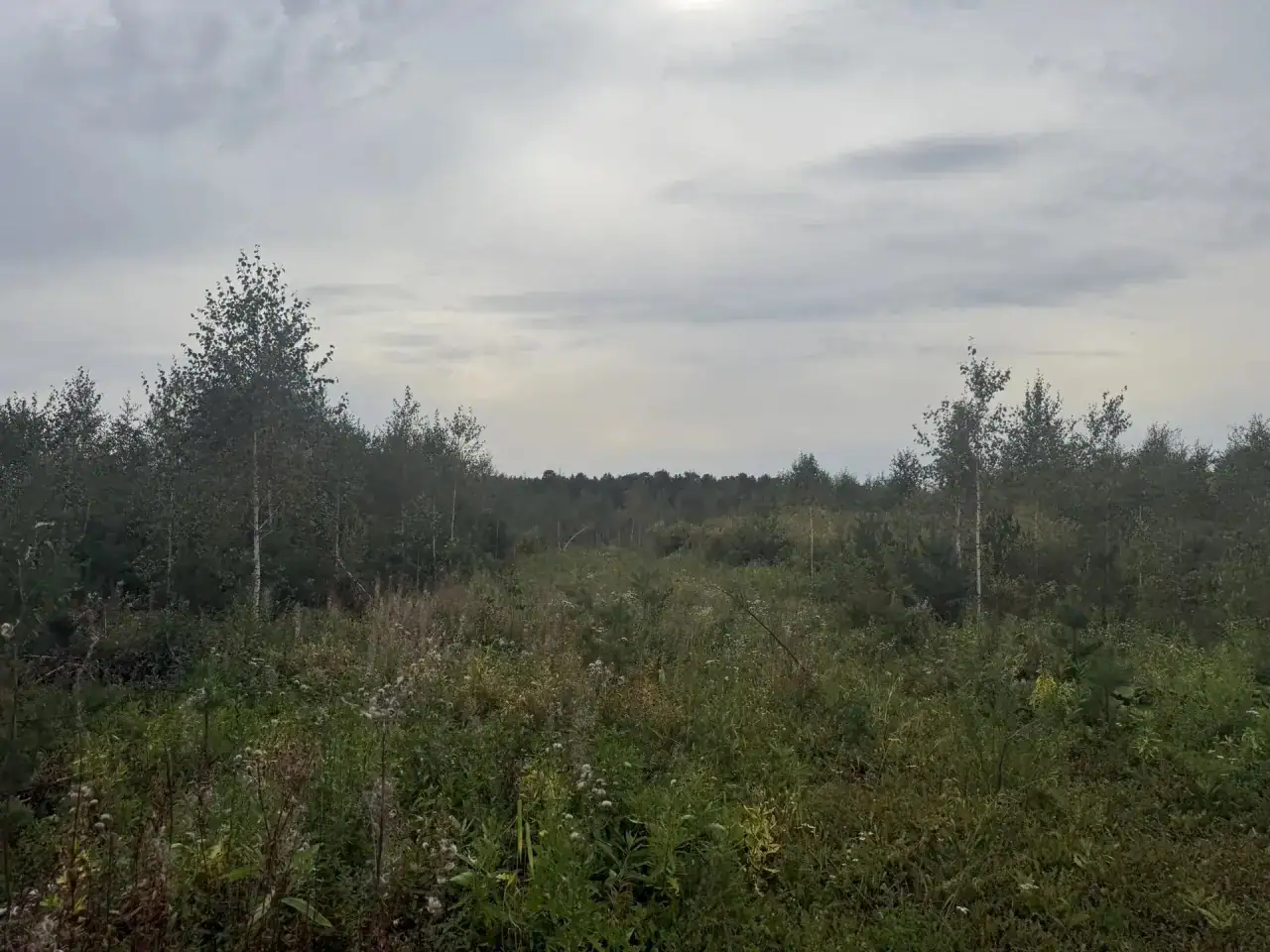 сентябрь, 2026
